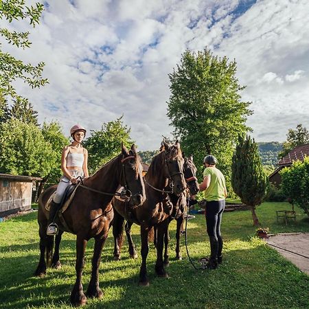 Apartment Sneznik Stari Trg pri Lozu Buitenkant foto