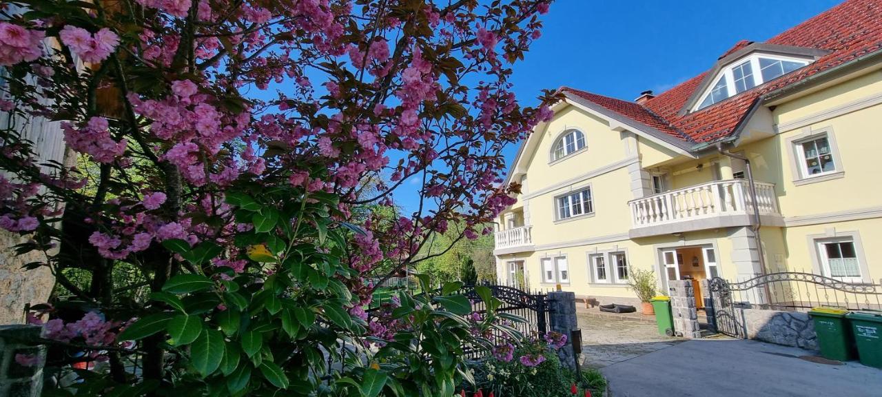 Apartment Sneznik Stari Trg pri Lozu Buitenkant foto