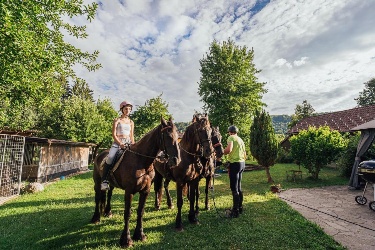 Apartment Sneznik Stari Trg pri Lozu Buitenkant foto