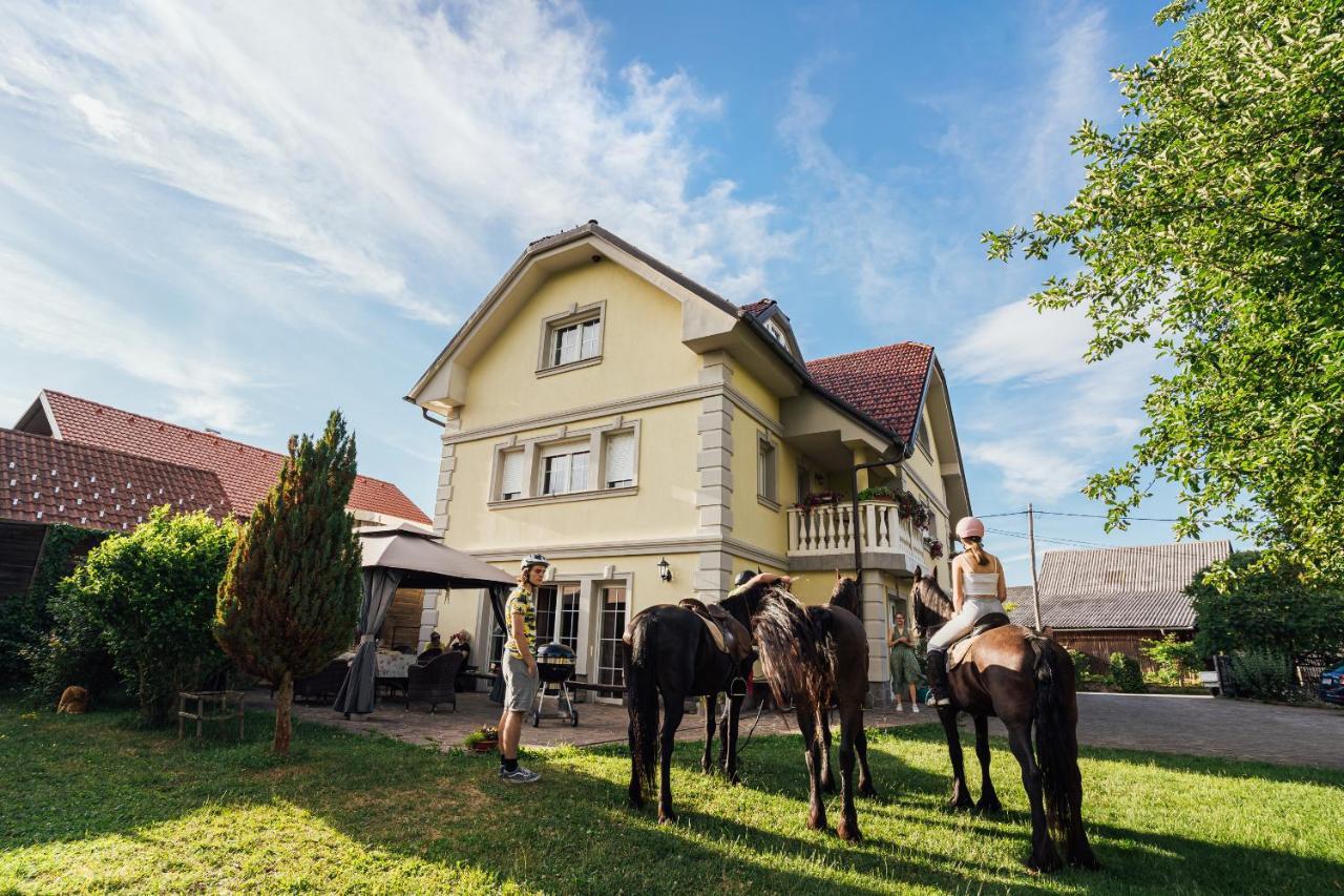 Apartment Sneznik Stari Trg pri Lozu Buitenkant foto